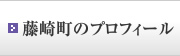 藤崎町のプロフィール