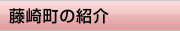 藤崎町の紹介
