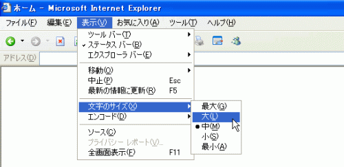 Internet Explorer 6（Windows）