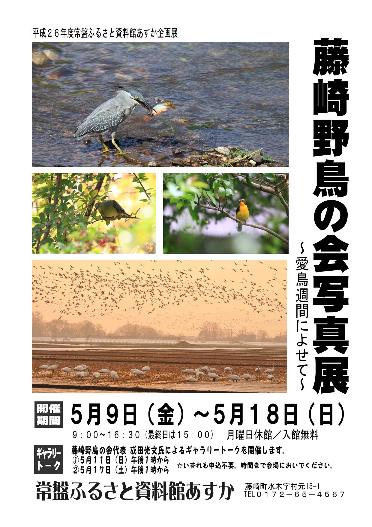 藤崎野鳥の会写真展～愛鳥週間によせて～