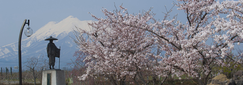 唐糸御前史跡公園_春